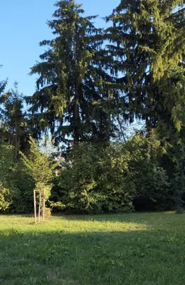 2-Zimmer-Wohnung mieten in Graz – 67 m², € 895 – Bild 4 von 8