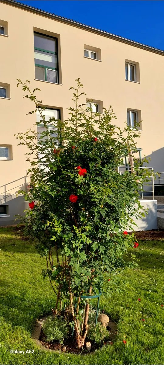 Wohnung – Gmünd - Ansicht 3