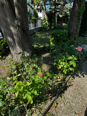 Haus kaufen in Mödling – 116 m², € 599.000 – Bild 10 von 31