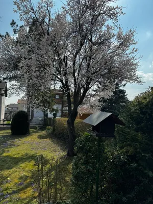 Haus kaufen in Mödling – 116 m², € 599.000 – Bild 4 von 31
