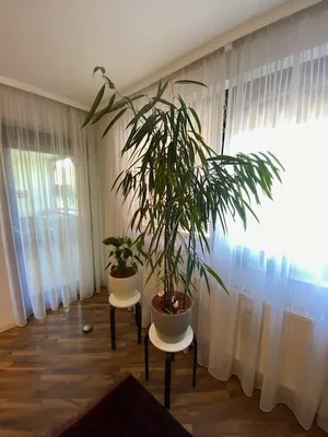 2-Zimmer-Wohnung mieten in Wiener Neustadt Land – 75 m², € 855 – Bild 5 von 7