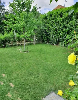 2-Zimmer-Wohnung mieten in Hollabrunn – 51 m², € 474 – Bild 2 von 11