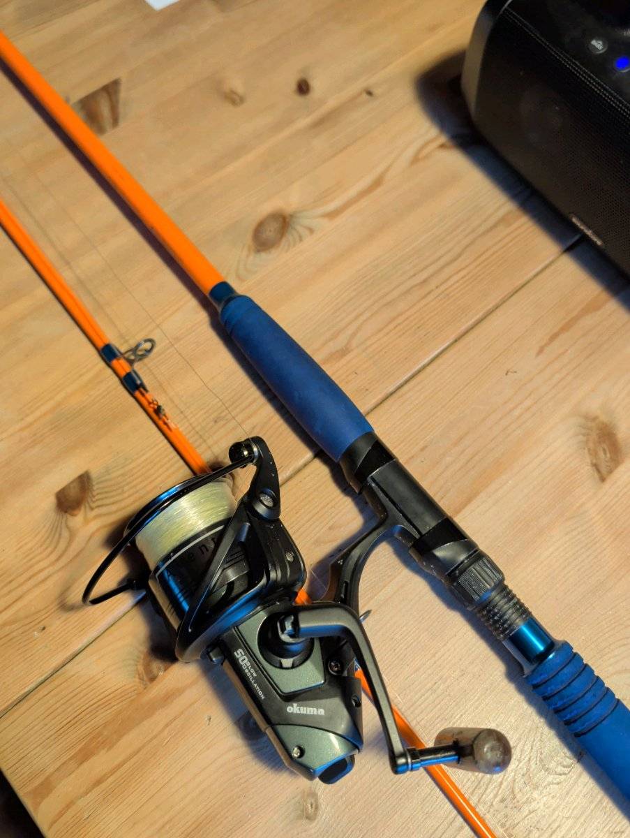 reel abu garcia black max Abu Garcia Max SX Spinning Reel