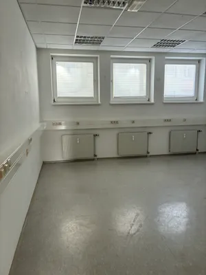 Gewerbeimmobilie mieten in Murtal – 373 m², € 5.284 – Bild 9 von 13