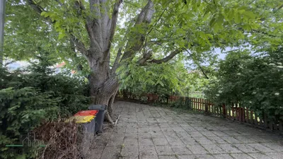 Gewerbeimmobilie kaufen in Melk – 510 m², € 298.000 – Bild 7 von 34