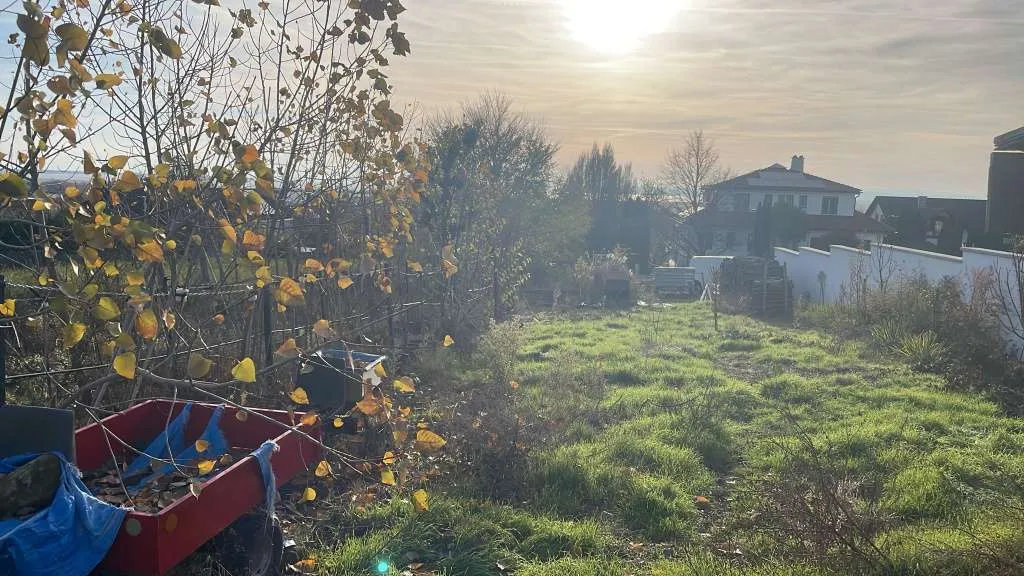 Exklusives erschlossenes Baugrundstück mit unverbaubarem Seeblick am Kirchberg in Neusiedl am See (Privatverkauf) - Ansicht 2