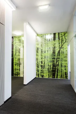 Gewerbeimmobilie mieten in Wien – 671 m², € 17 – Bild 8 von 11