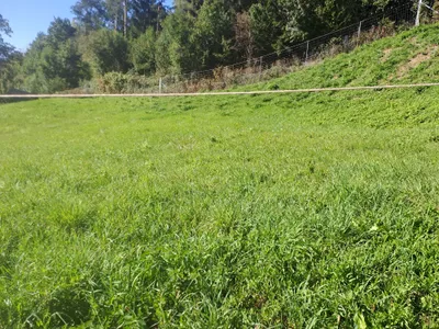 Grundstück kaufen in Klagenfurt Land – 908 m², € 176.000 – Bild 3 von 4