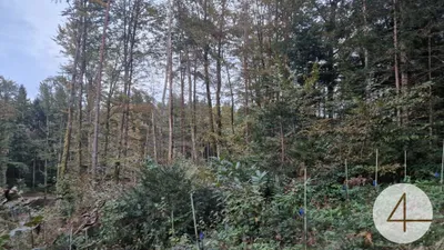 Grundstück kaufen in Deutschlandsberg – 104 509 m², € 2.700.000 – Bild 3 von 5