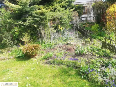 4-Zimmer-Haus mieten in Korneuburg – 140 m², € 1.650 – Bild 25 von 28