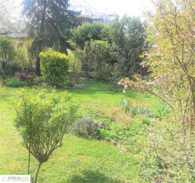 4-Zimmer-Haus mieten in Korneuburg – 140 m², € 1.650 – Bild 23 von 28