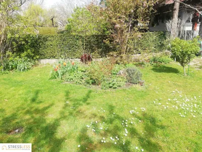 4-Zimmer-Haus mieten in Korneuburg – 140 m², € 1.650 – Bild 24 von 28