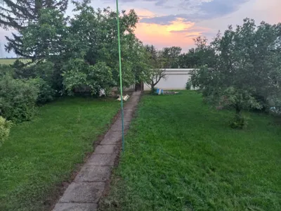 Immobilie mieten in Wien – 30 m², € 160 – Bild 14 von 20