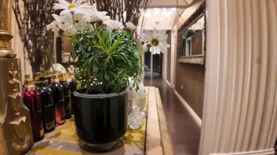18-Zimmer-Gewerbeimmobilie mieten in Salzburg Stadt – 228 m² – Bild 8 von 27