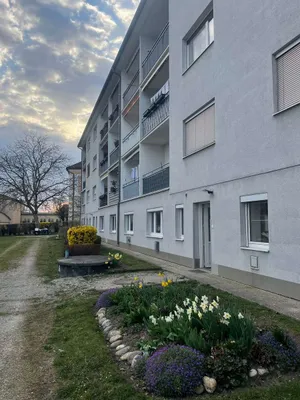 1-Zimmer-Wohnung mieten in Linz Land – 27 m², € 399 – Bild 6 von 6