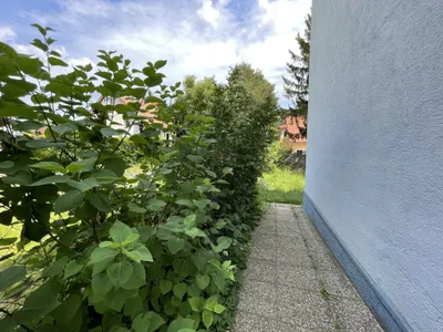 10-Zimmer-Haus kaufen in Wien – 220 m², € 1.089.000 – Bild 17 von 22