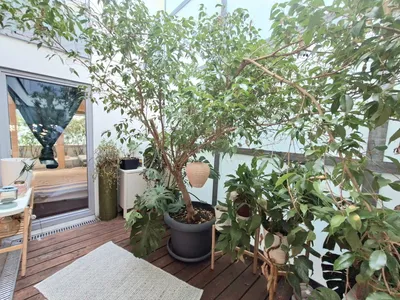4-Zimmer-Wohnung kaufen in Wien – 117,96 m², € 499.900 – Bild 21 von 42