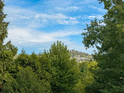 15-Zimmer-Immobilie kaufen in Linz Land – 500 m², € 2.480.000 – Bild 3 von 4