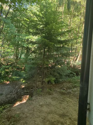 4-Zimmer-Haus mieten in Sankt Pölten Land – 115 m², € 2.560 – Bild 5 von 5