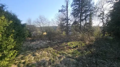 Immobilie kaufen in Graz-Umgebung – 1 309 m², € 299.900 – Bild 4 von 15