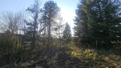 Immobilie kaufen in Graz-Umgebung – 1 309 m², € 299.900 – Bild 8 von 15