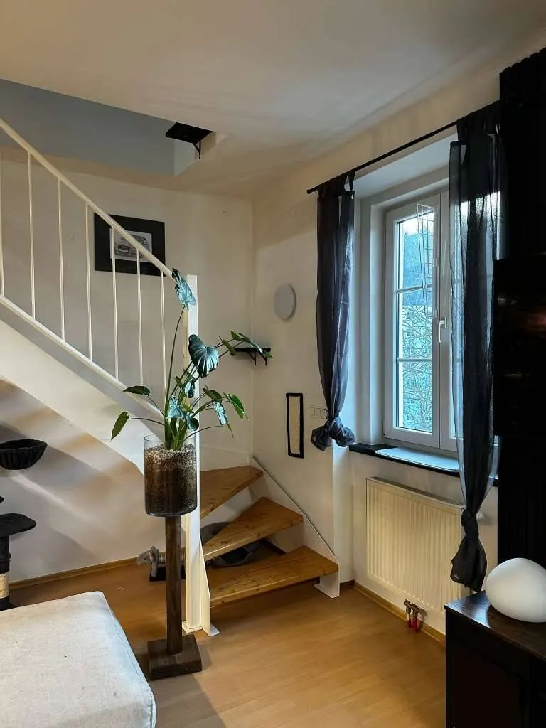 Apartment in Rehberg - Ansicht 2