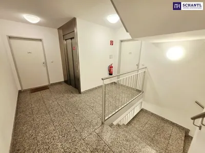 2-Zimmer-Wohnung kaufen in Wien – 60,27 m², € 345.000 – Bild 7 von 23