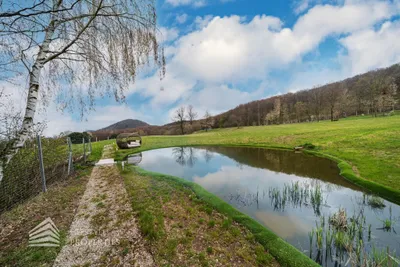 11-Zimmer-Immobilie kaufen in Mödling – 864 m², € 13.400.000 – Bild 63 von 83