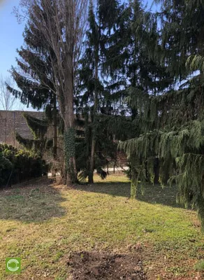 Grundstück kaufen in Mödling – 1 037 m², € 690.000 – Bild 9 von 9