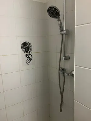 1-Zimmer-Wohnung mieten in Klagenfurt – 33 m², € 486 – Bild 14 von 16