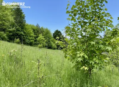 Grundstück kaufen in Neunkirchen – 2 342 m², € 99.000 – Bild 2 von 13