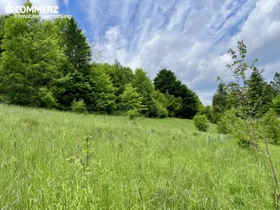 Grundstück kaufen in Neunkirchen – 2 342 m², € 99.000 – Bild 3 von 13