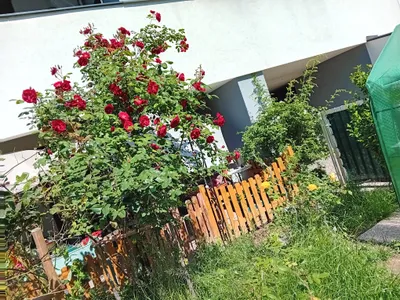 3-Zimmer-Wohnung mieten in Baden – 60 m², € 823 – Bild 14 von 15