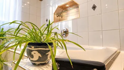 5-Zimmer-Haus kaufen in Krems an der Donau – 213 m², € 690.000 – Bild 18 von 36