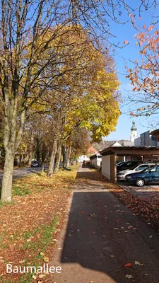 4-Zimmer-Wohnung mieten in Ried im Innkreis – 98 m², € 1.200 – Bild 4 von 24
