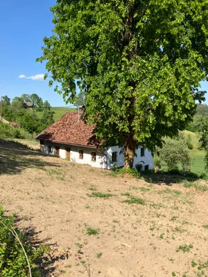 3-Zimmer-Haus kaufen in Rohrbach – 88 m², € 209.000 – Bild 3 von 24