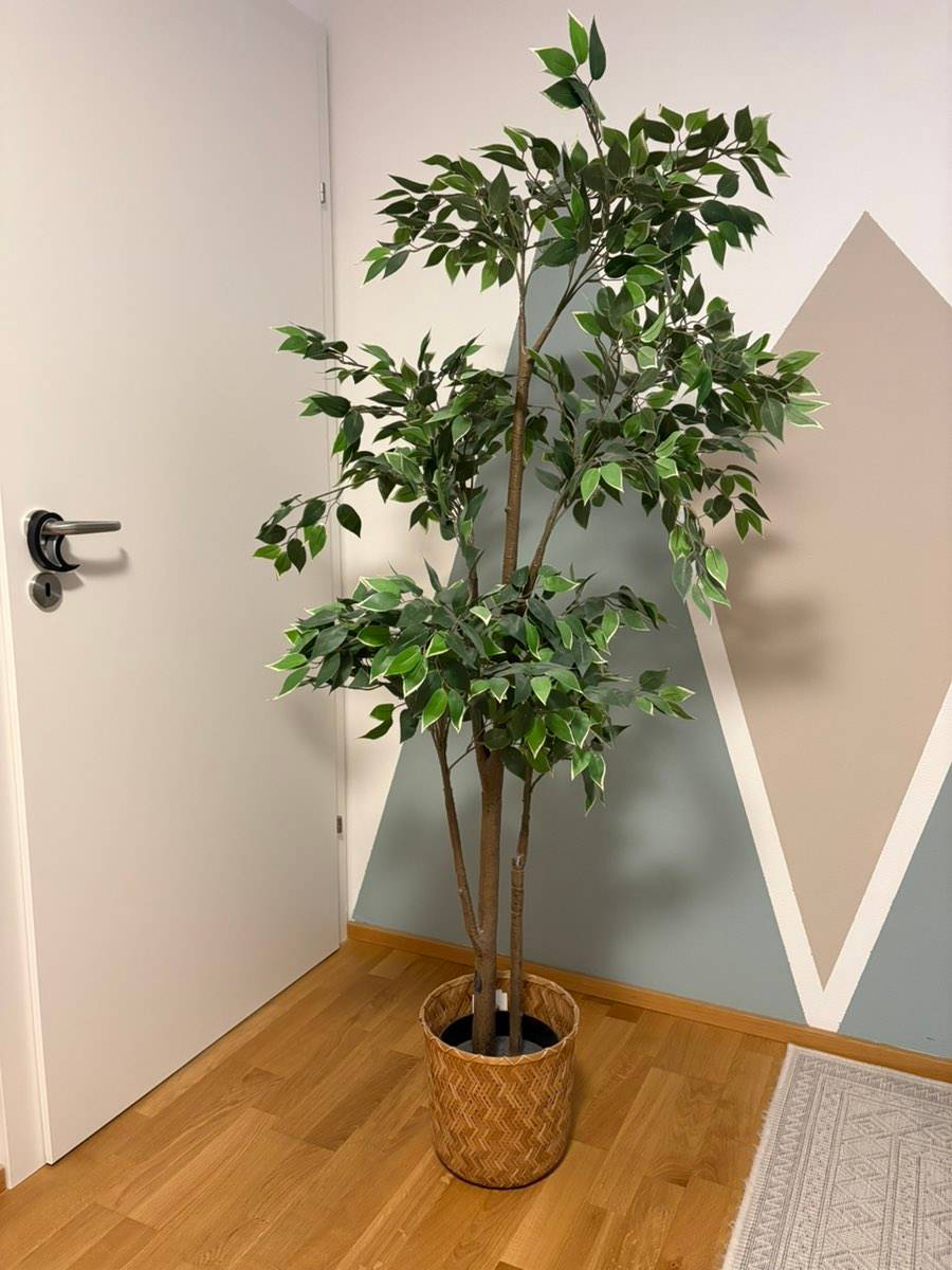 IKEA Pflanze (unecht) inkl. berstopf,  20,- (5400 Hallein) - willhaben