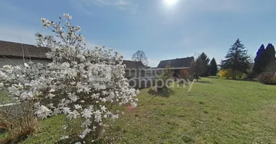 3-Zimmer-Haus kaufen in Jennersdorf – 100 m², € 199.000 – Bild 2 von 11