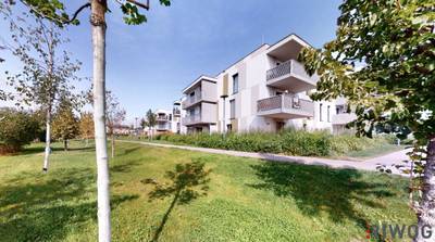 SONNIGE und RUHIGE GARTENWOHNUNG // perfekte Ausrichtung // Tiefgaragenstellplatz (Miete) – Bild 2