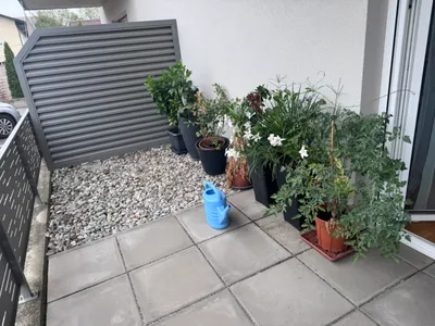 1-Zimmer-Wohnung mieten in Leibnitz – 48 m², € 743 – Bild 9 von 10