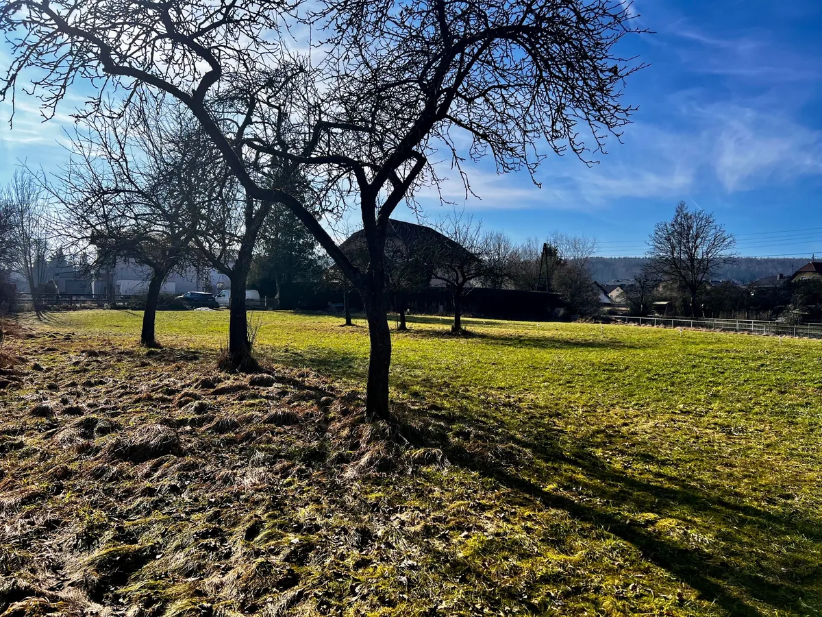 Großes Baugrundstück samt altem Hof in Attnang – pohled 2