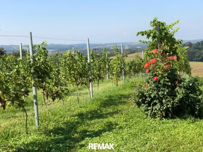 3-Zimmer-Immobilie kaufen in Österreich – 51,8 m², € 129.000 – Bild 39 von 42