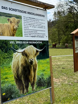 Grundstück kaufen in Horn – 790 m², € 39.500 – Bild 12 von 12