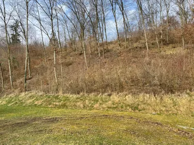 Grundstück kaufen in Wels-Land – 5 305 m², € 91.000 – Bild 7 von 8