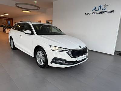 Skoda Octavia Combi 2,0 TDI Style, Anhängevorrichtung...