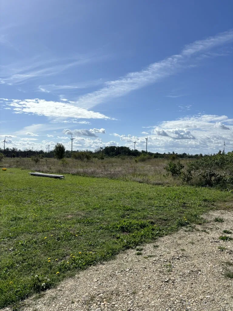 Preisgünstig - Baugrundstück voll aufgeschlossen - Gänserndorf Süd - Ansicht 2