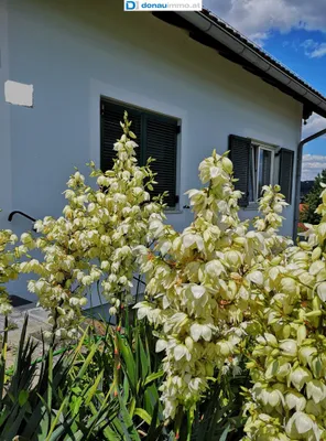 18-Zimmer-Gewerbeimmobilie kaufen in Hartberg-Fürstenfeld – 653 m², € 1.350.000 – Bild 10 von 41