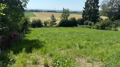 Grundstück kaufen in Wels – 1 220 m², € 460.000 – Bild 2 von 4