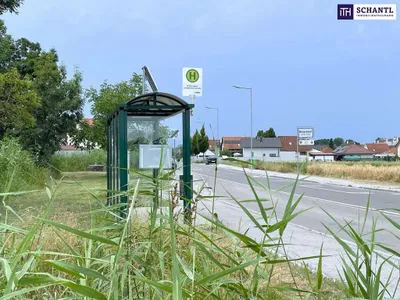 Immobilie kaufen in Baden – 5 134 m², € 549.000 – Bild 3 von 6