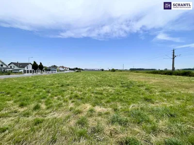 Immobilie kaufen in Baden – 5 134 m², € 549.000 – Bild 4 von 6